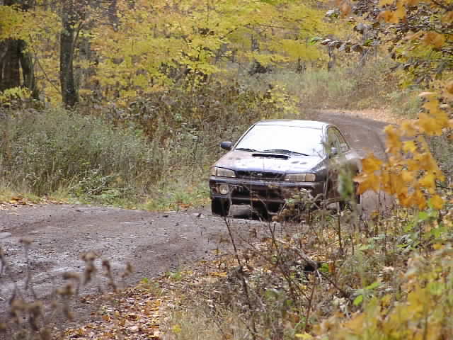 PA195221.JPG