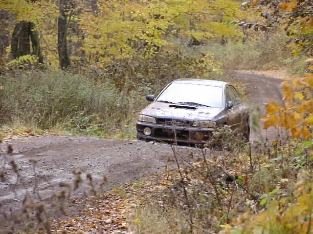 PA195222.JPG
