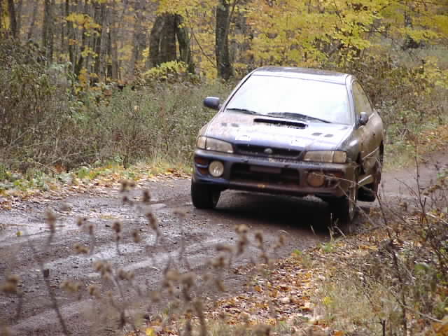 PA195225.JPG