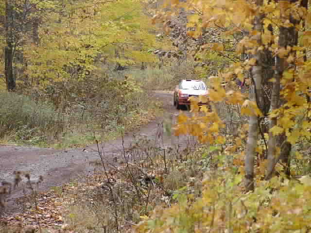 PA195230.JPG