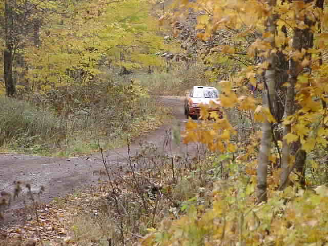 PA195231.JPG