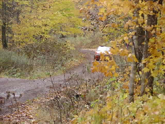 PA195233.JPG