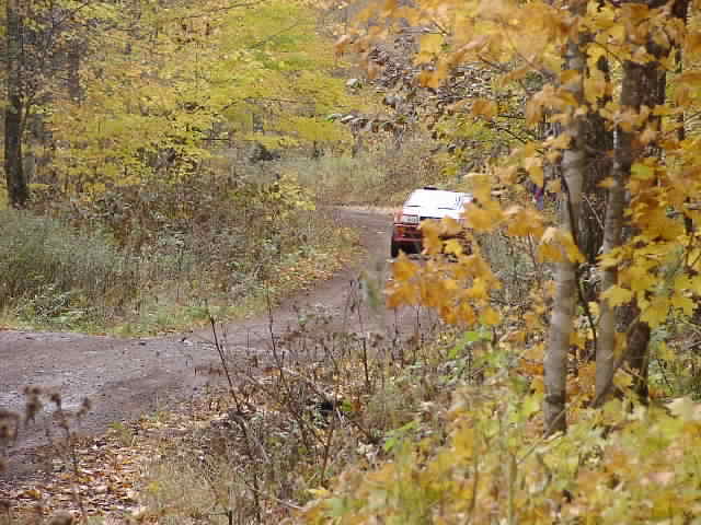 PA195235.JPG