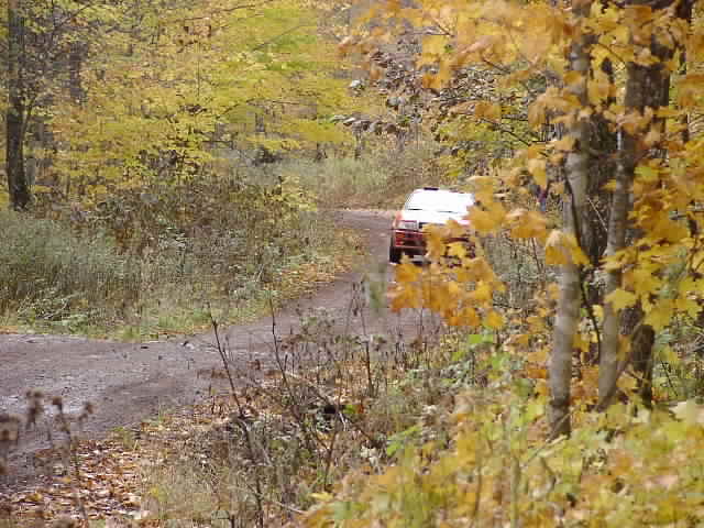 PA195236.JPG