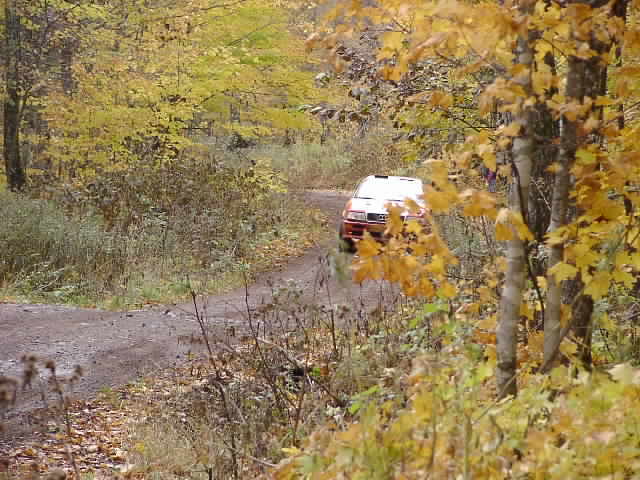 PA195238.JPG