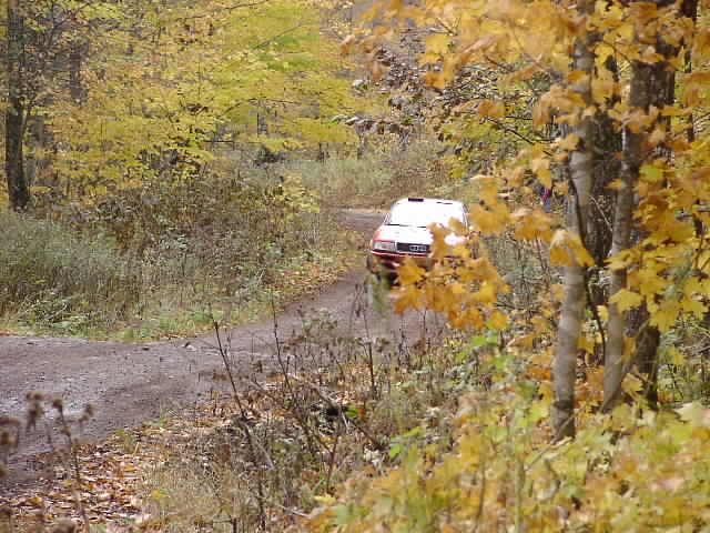 PA195239.JPG