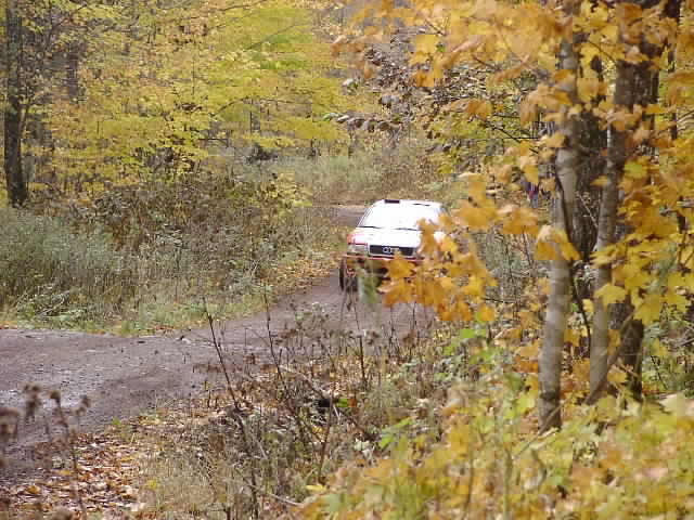 PA195240.JPG