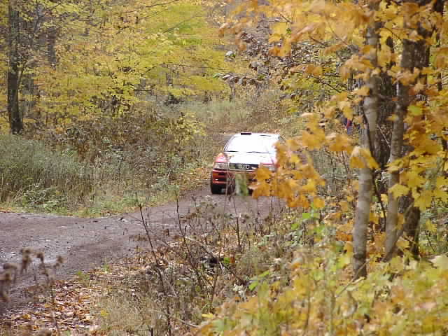 PA195241.JPG