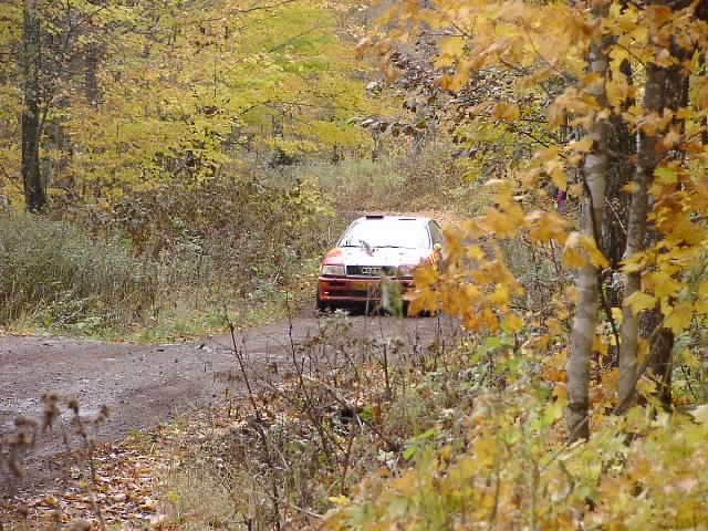 PA195242.JPG