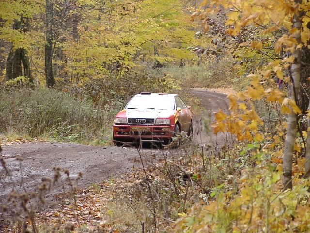 PA195246.JPG