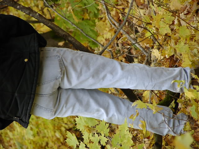 PA195263.JPG