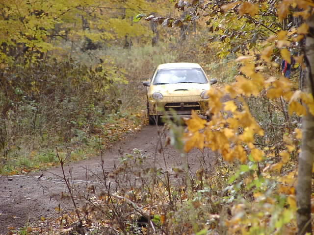 PA195283.JPG