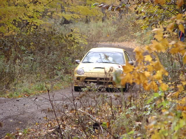 PA195289.JPG