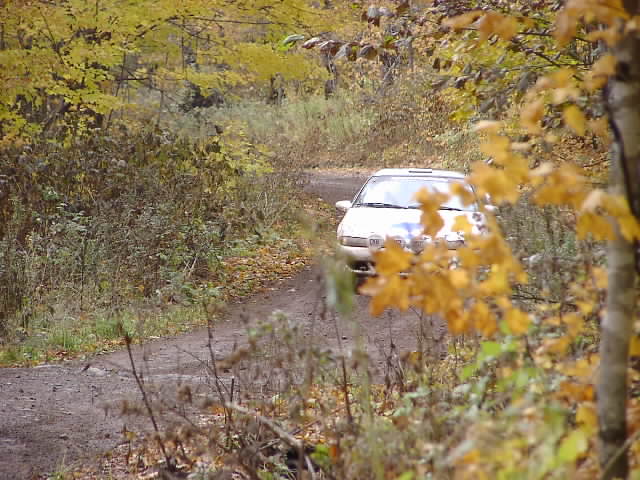PA195340.JPG
