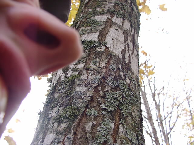 PA195374.JPG