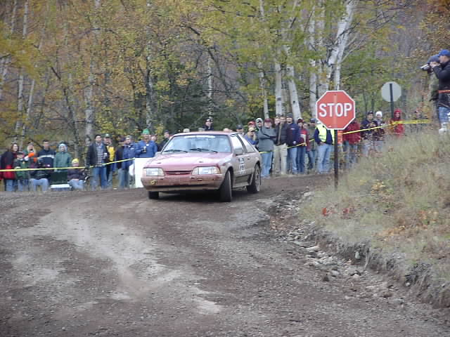 PA195515.JPG