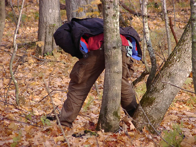 PA176376.JPG