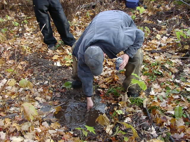 PA176379.JPG