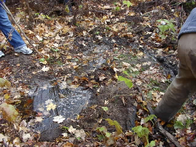 PA176380.JPG