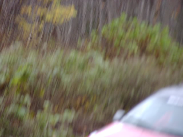 PA176477.JPG