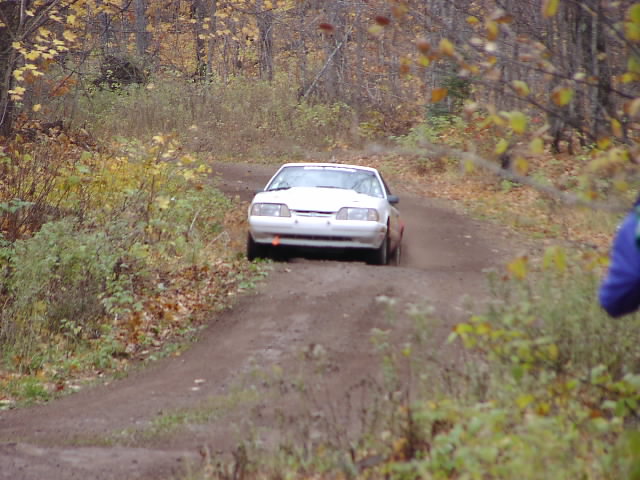 PA176486.JPG