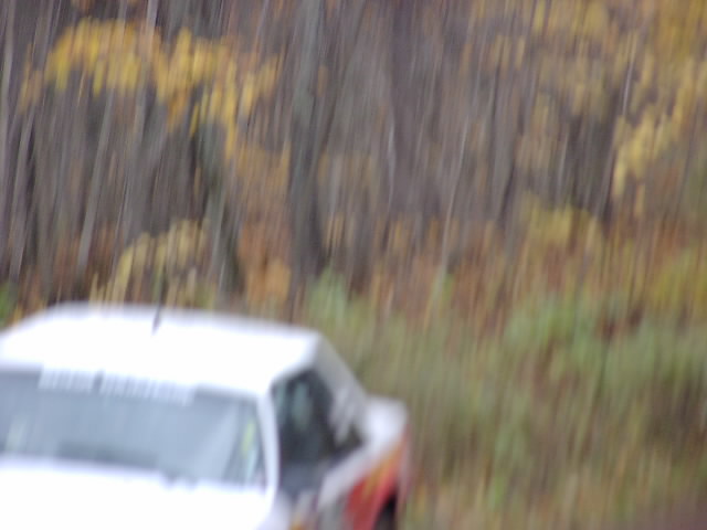 PA176493.JPG