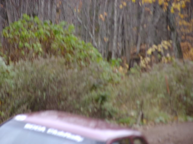 PA176501.JPG
