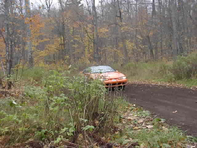 PA176524.JPG