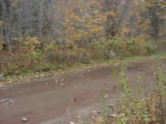 PA176530.JPG