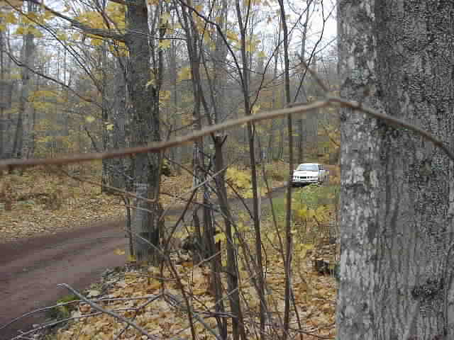 PA176533.JPG