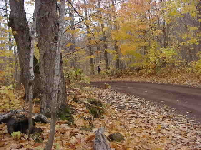 PA176538.JPG