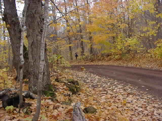 PA176539.JPG
