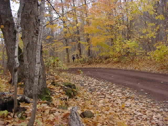 PA176540.JPG