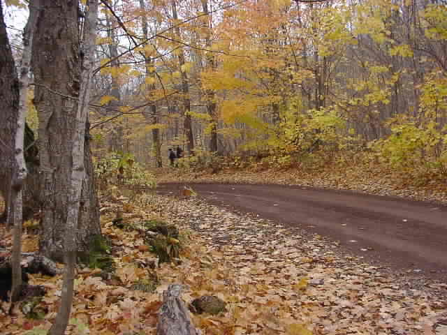 PA176541.JPG
