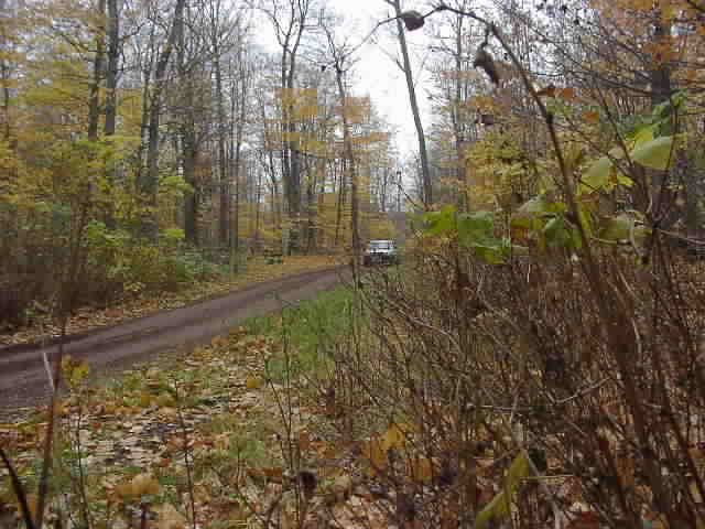 PA176546.JPG