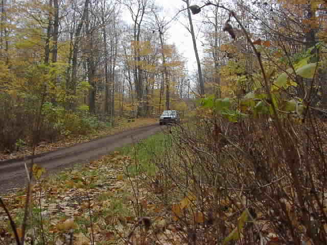PA176547.JPG