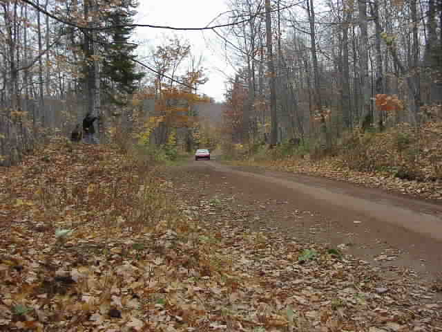 PA176553.JPG