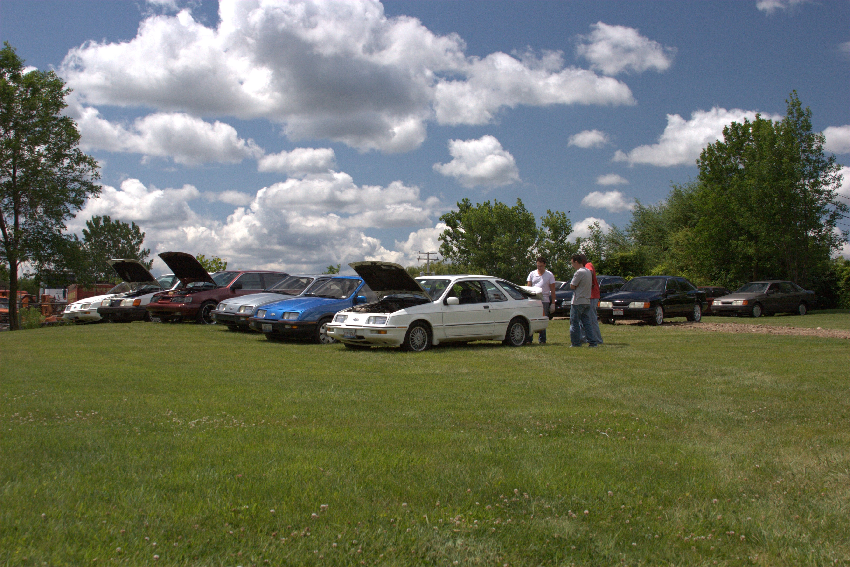 IMG_7503.jpg