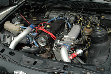 DSC_0256.JPG