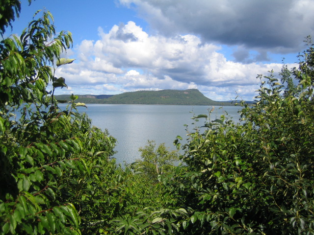 IMG_0525.jpg