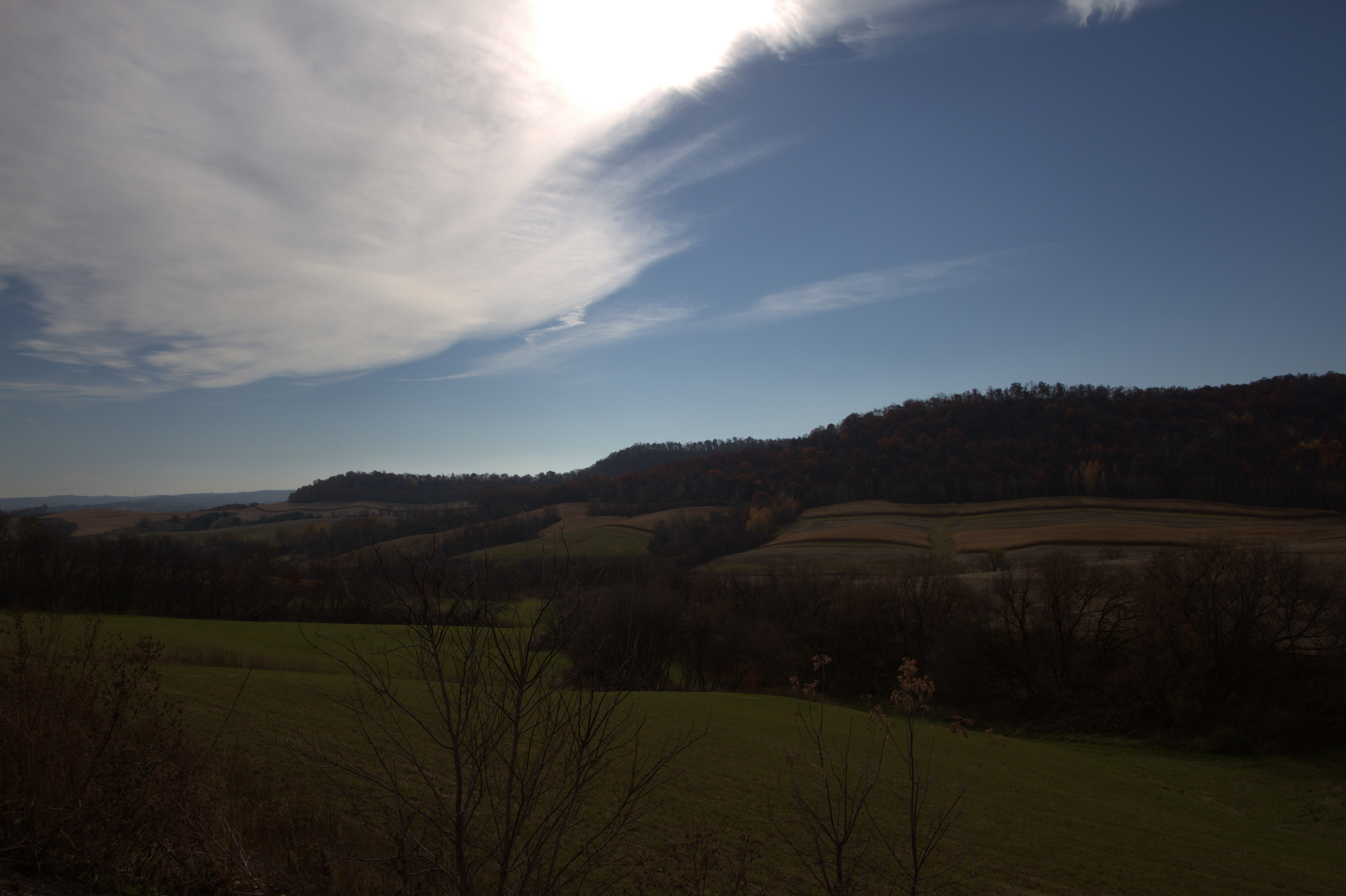 IMG_5883.jpg