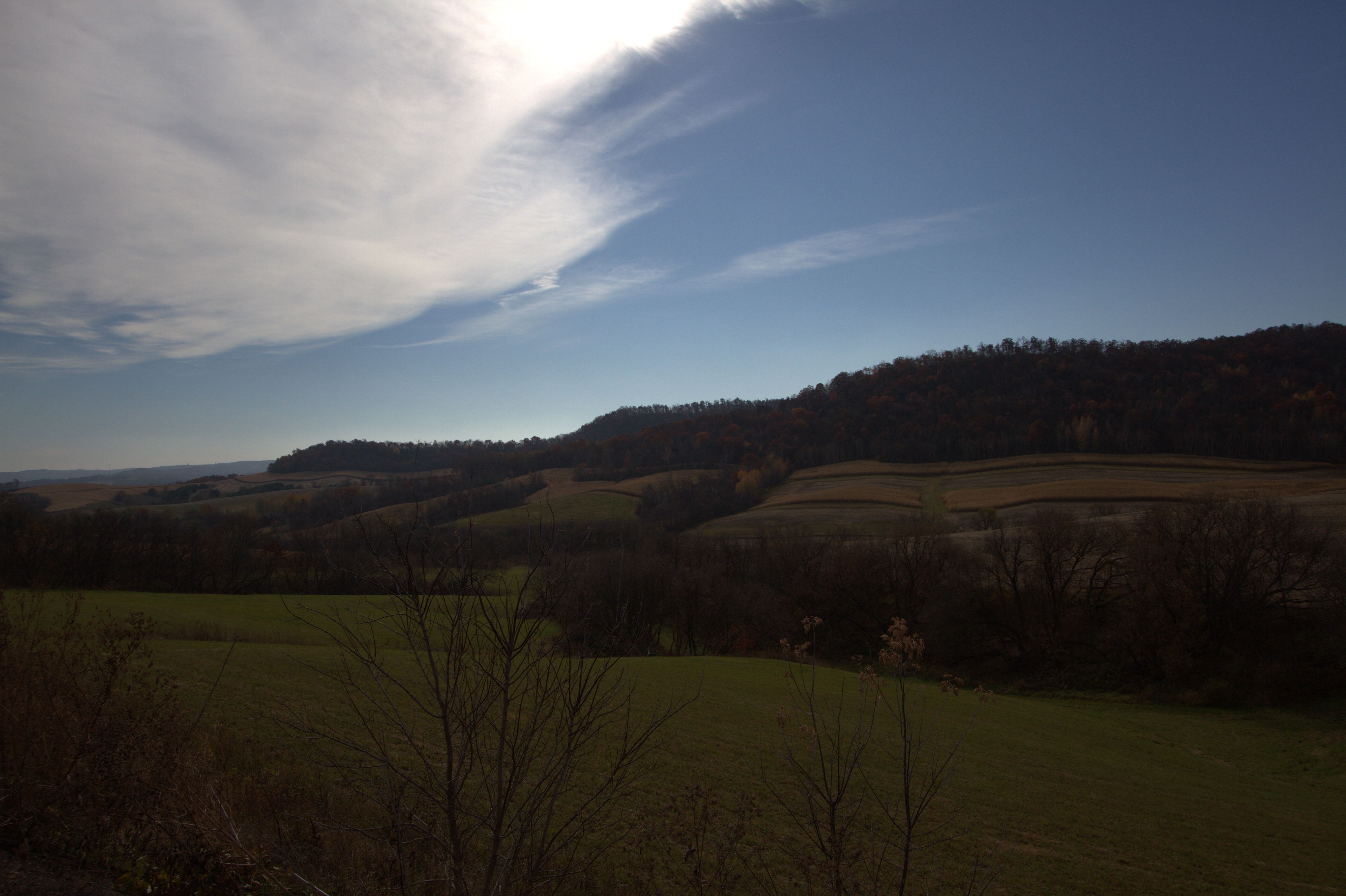 IMG_5885.jpg