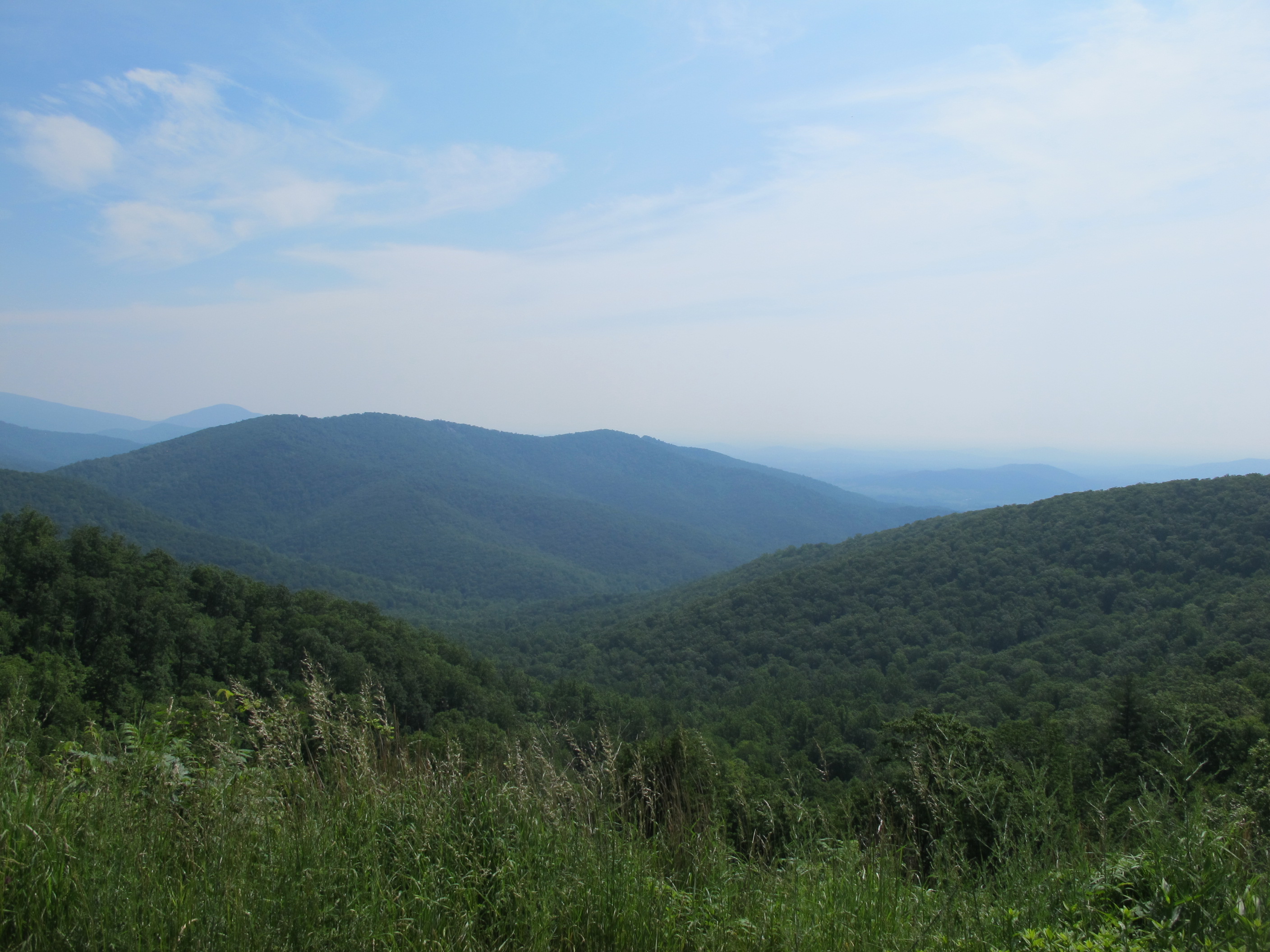 IMG_5683.JPG