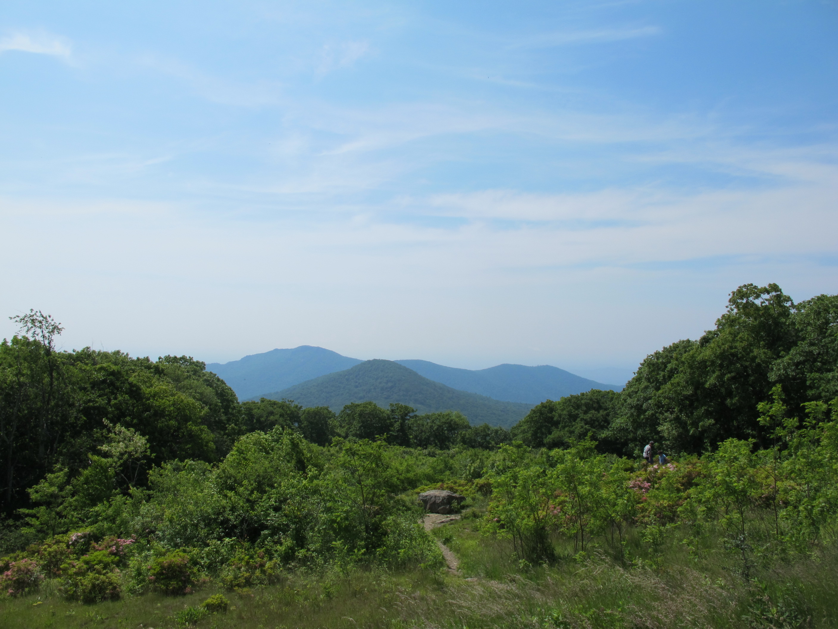IMG_5687.JPG
