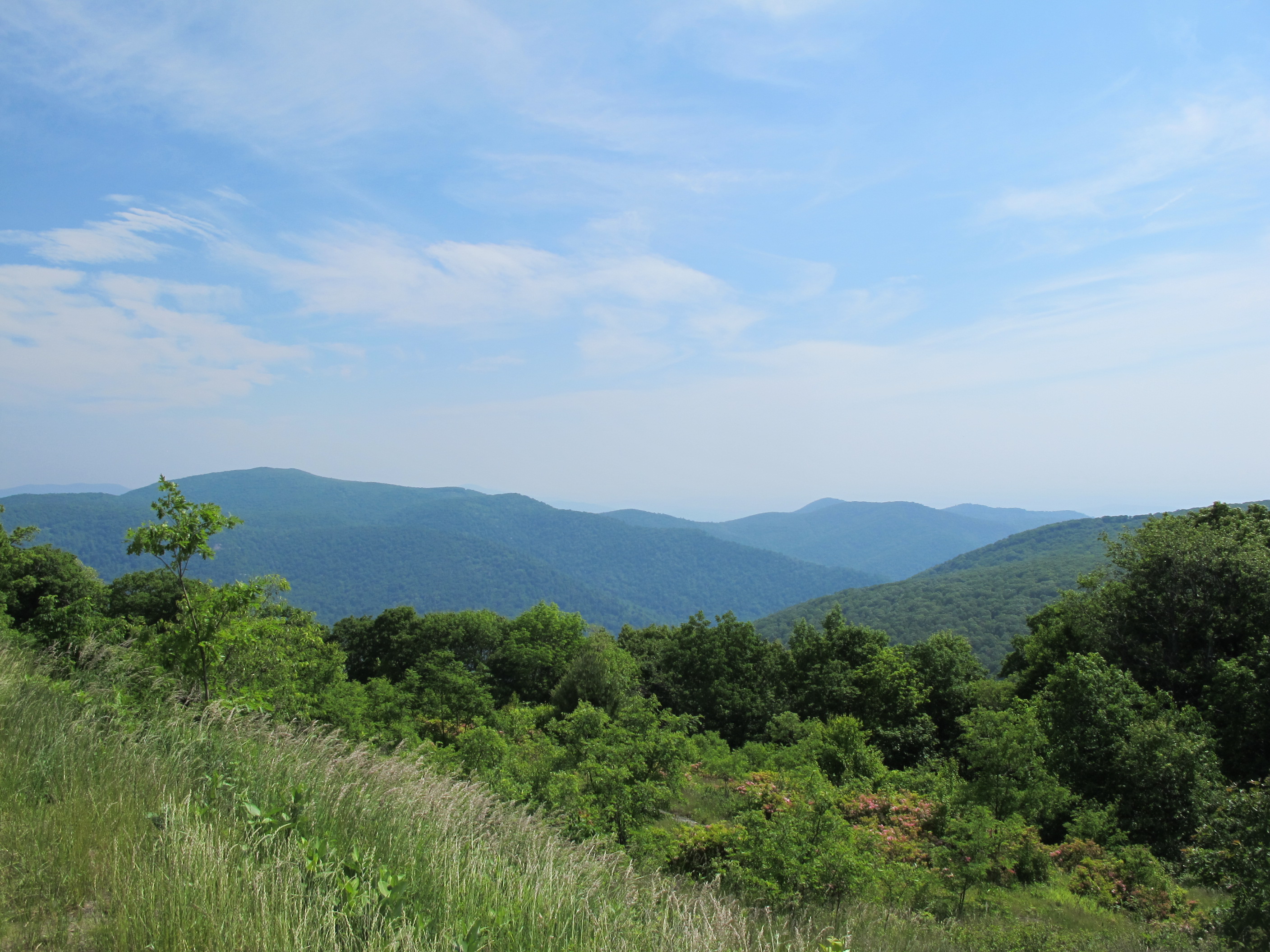 IMG_5688.JPG