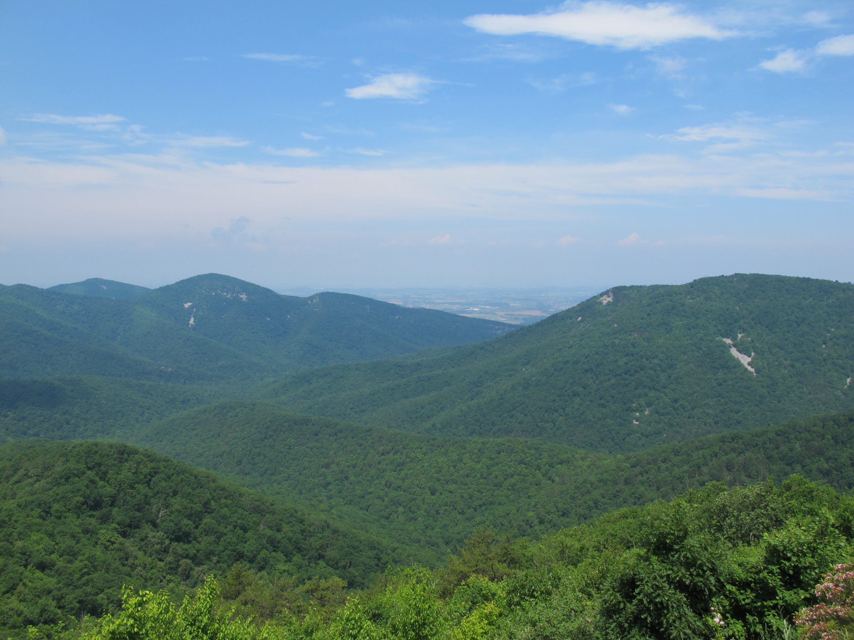 IMG_5692.JPG