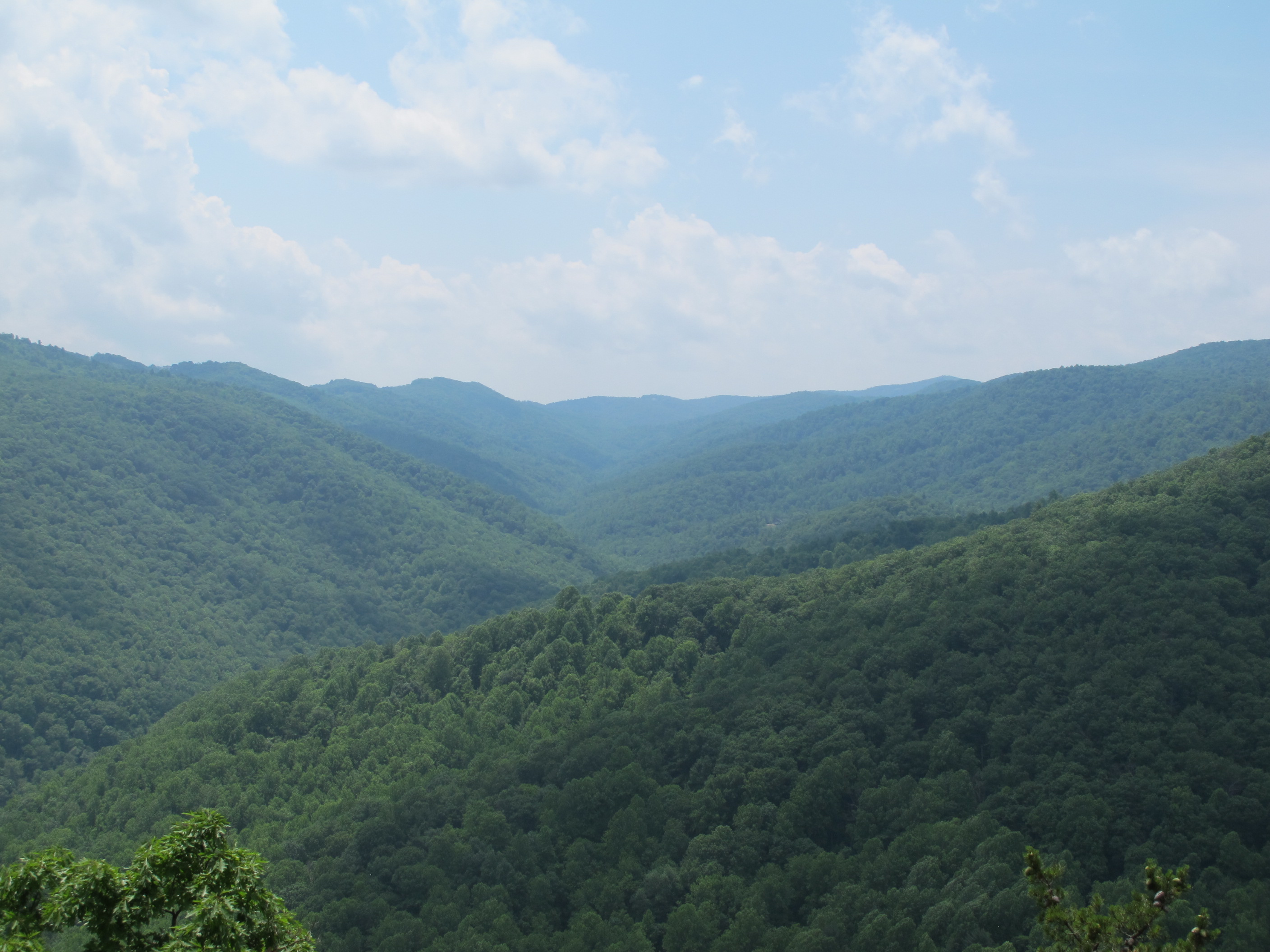 IMG_5697.JPG