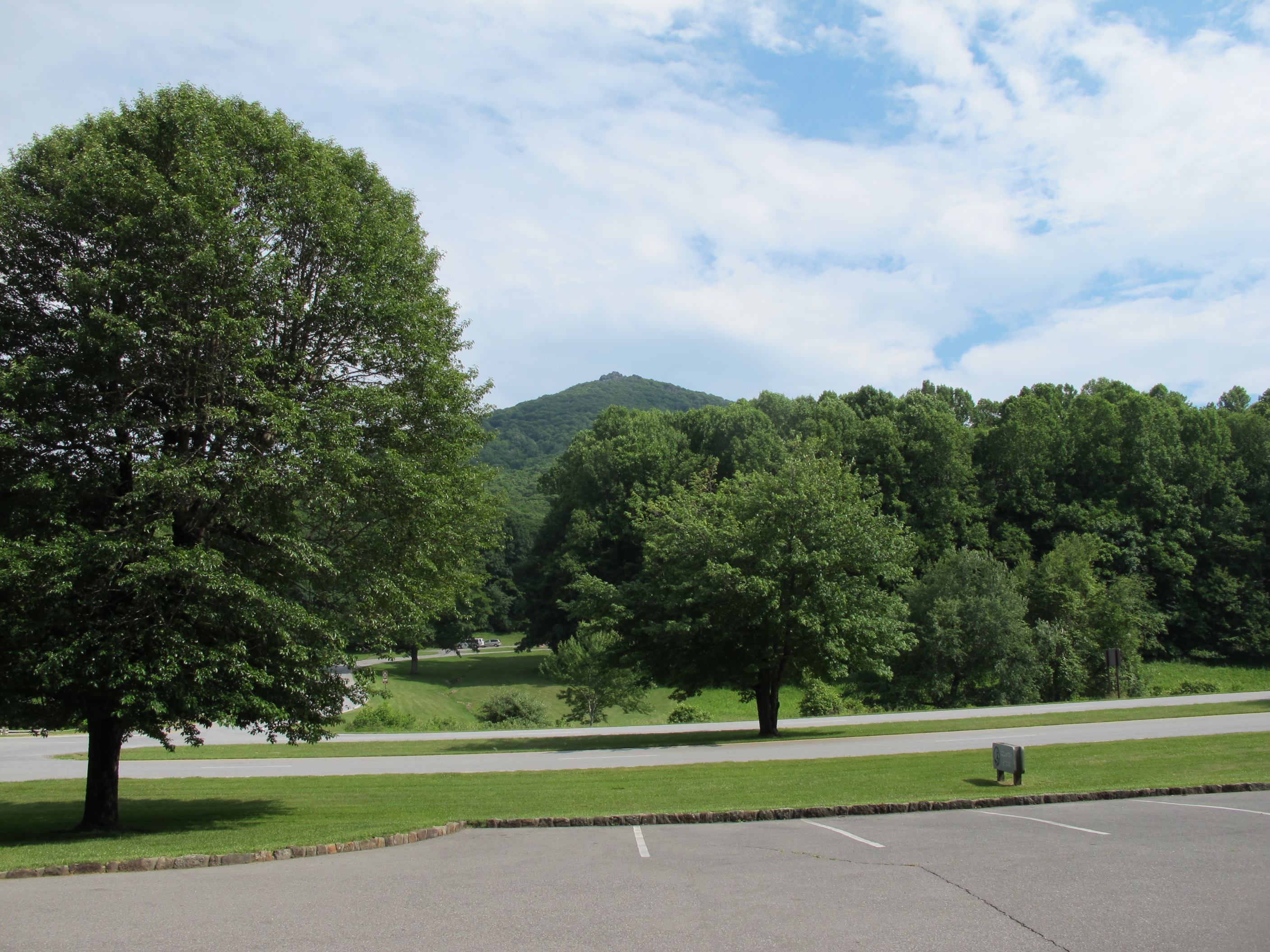 IMG_5698.JPG