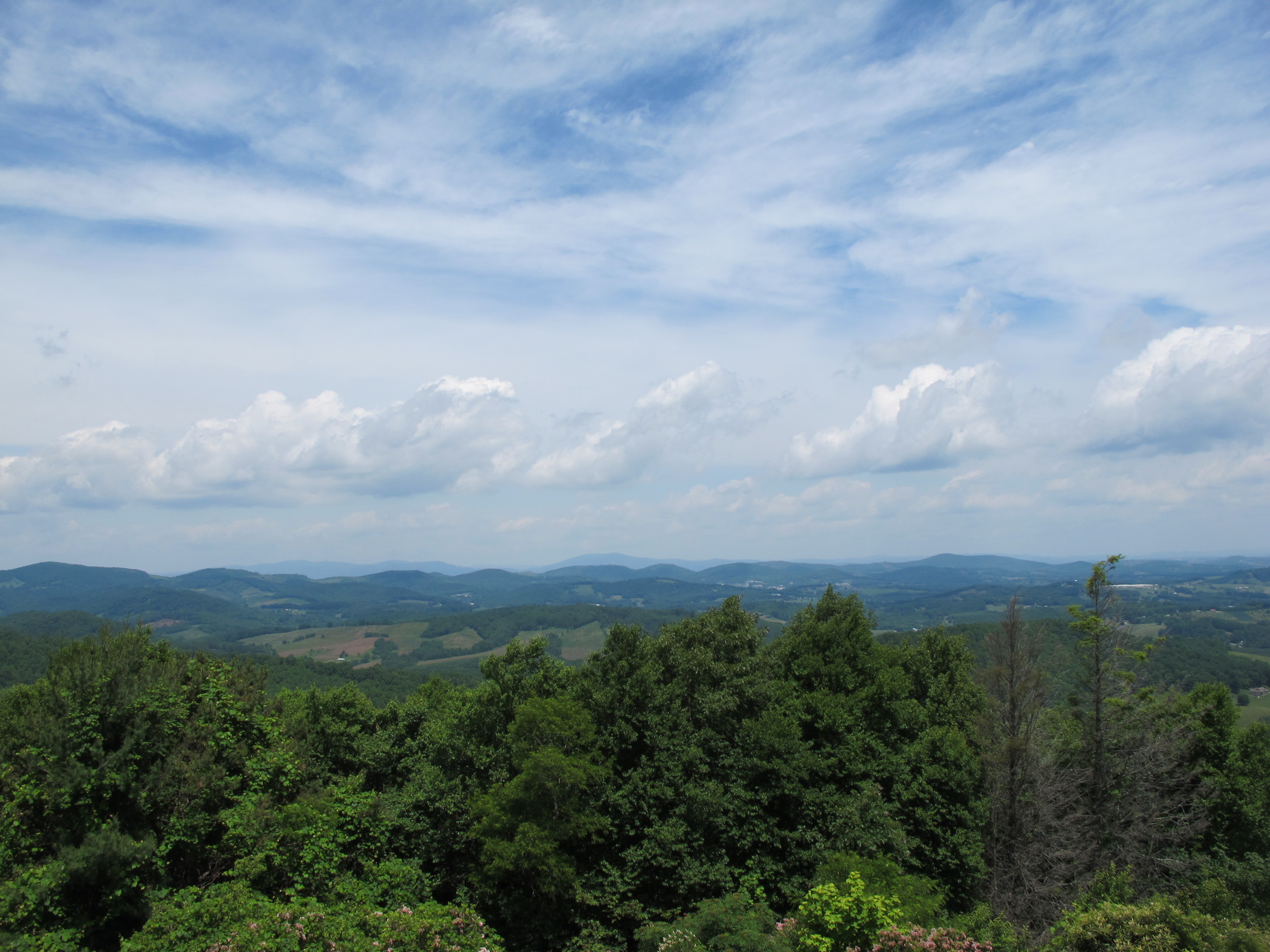 IMG_5714.JPG