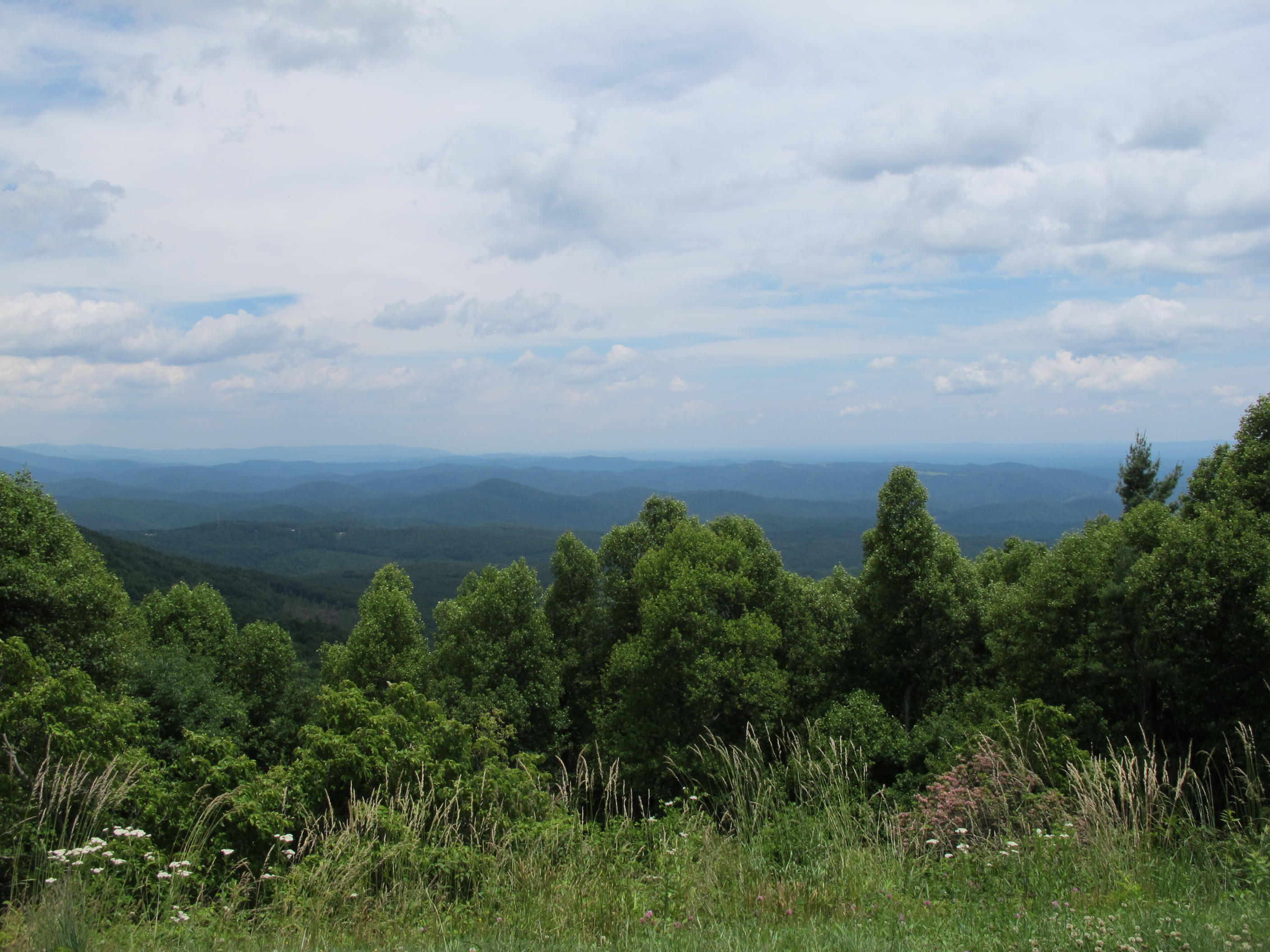 IMG_5716.JPG
